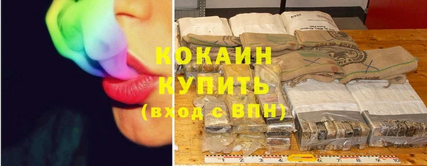 стаф Каменногорск