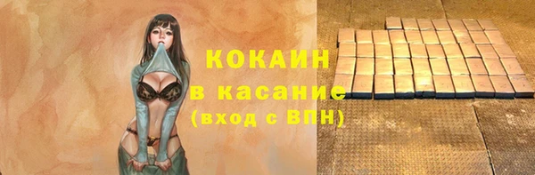 стаф Каменногорск