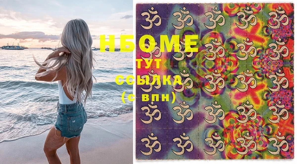 стаф Каменногорск