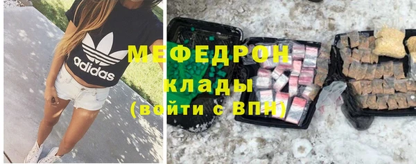стаф Каменногорск
