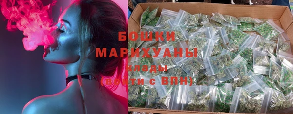 стаф Каменногорск