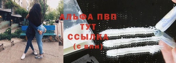 стаф Каменногорск