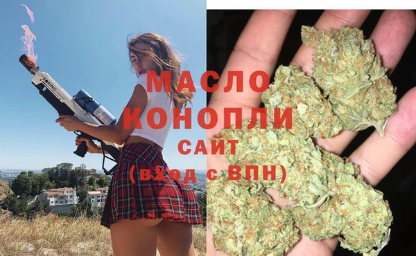 стаф Каменногорск