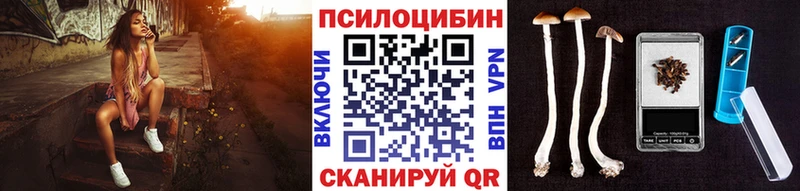 Купить  Балашов  Псилоцибиновые грибы Psilocybine cubensis 