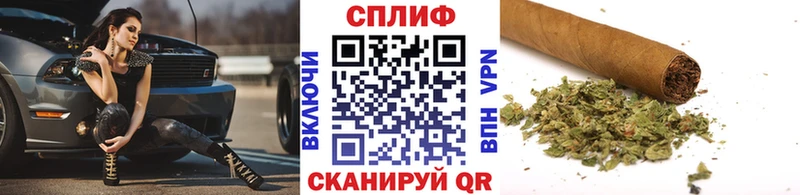 Купить  Балашов  Каннабис план 